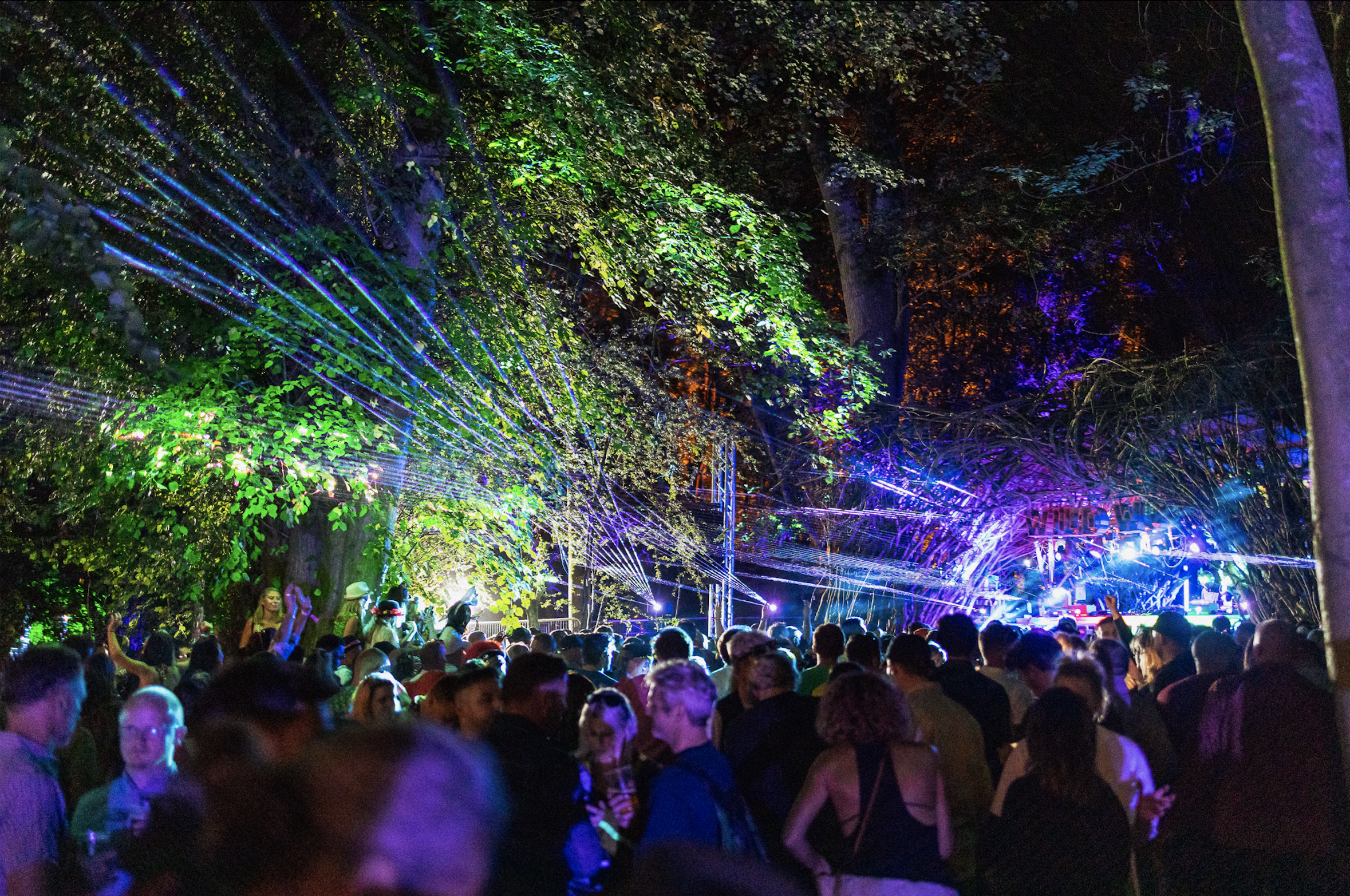 Broke Magazine’s Guide To Wild Wood 2025